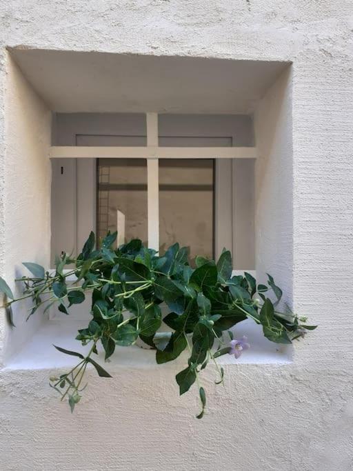 Villa Casa Maergilu Pescara Esterno foto